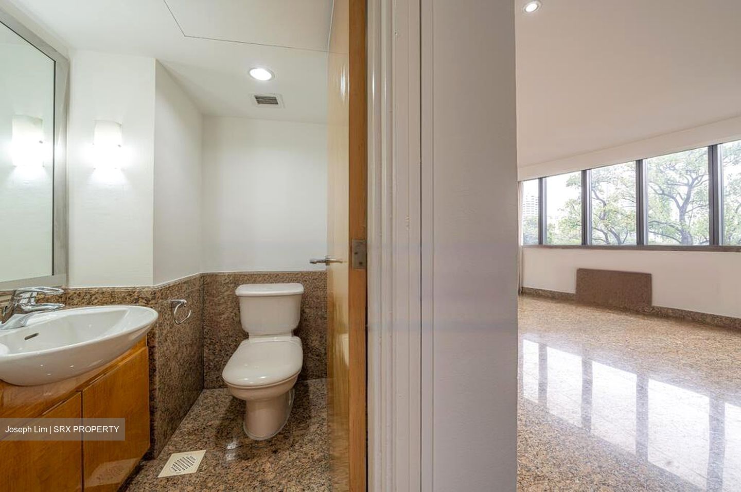 Grange 70 (D10), Apartment #438751361